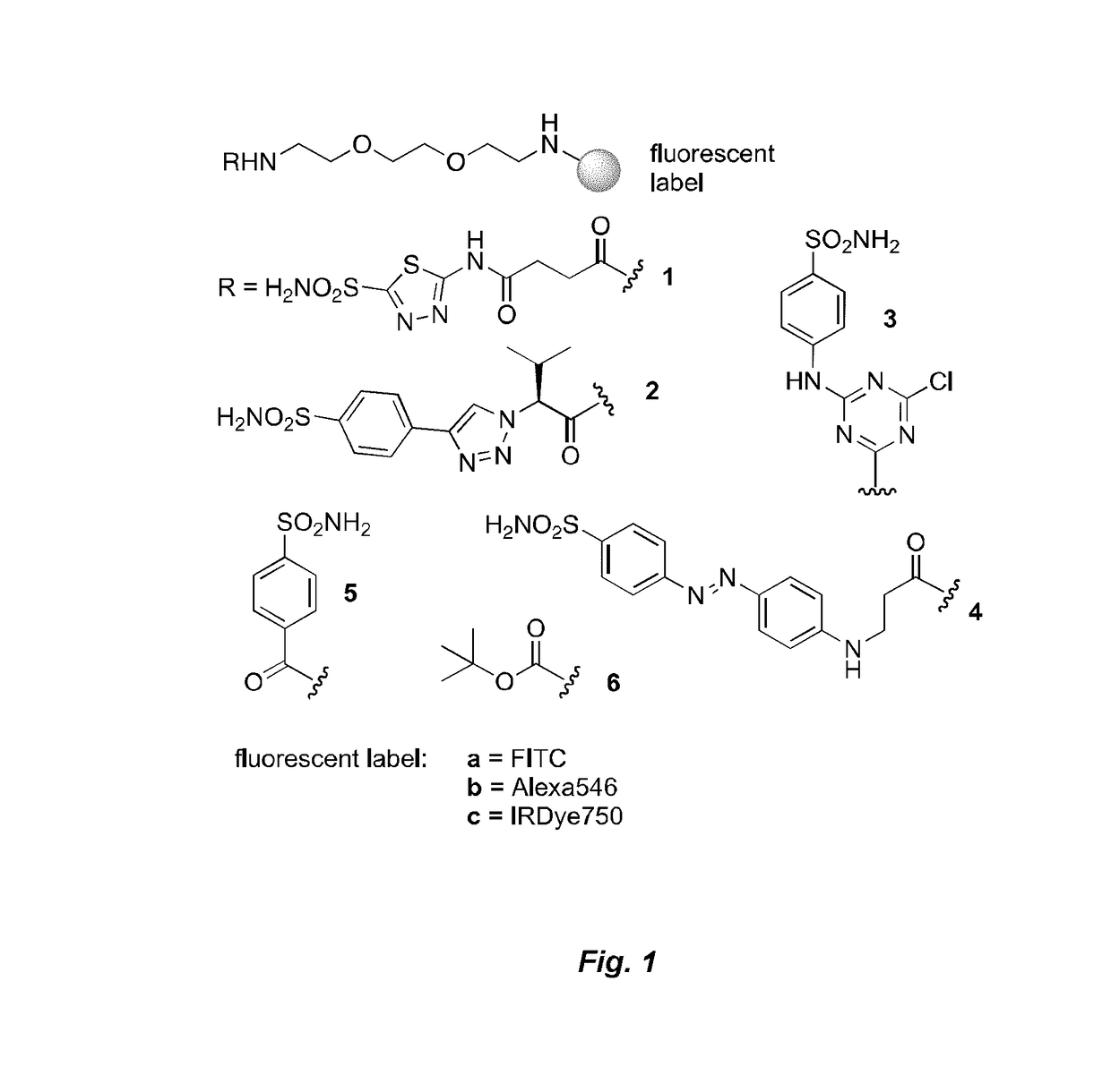 Small Molecule Drug Conjugates