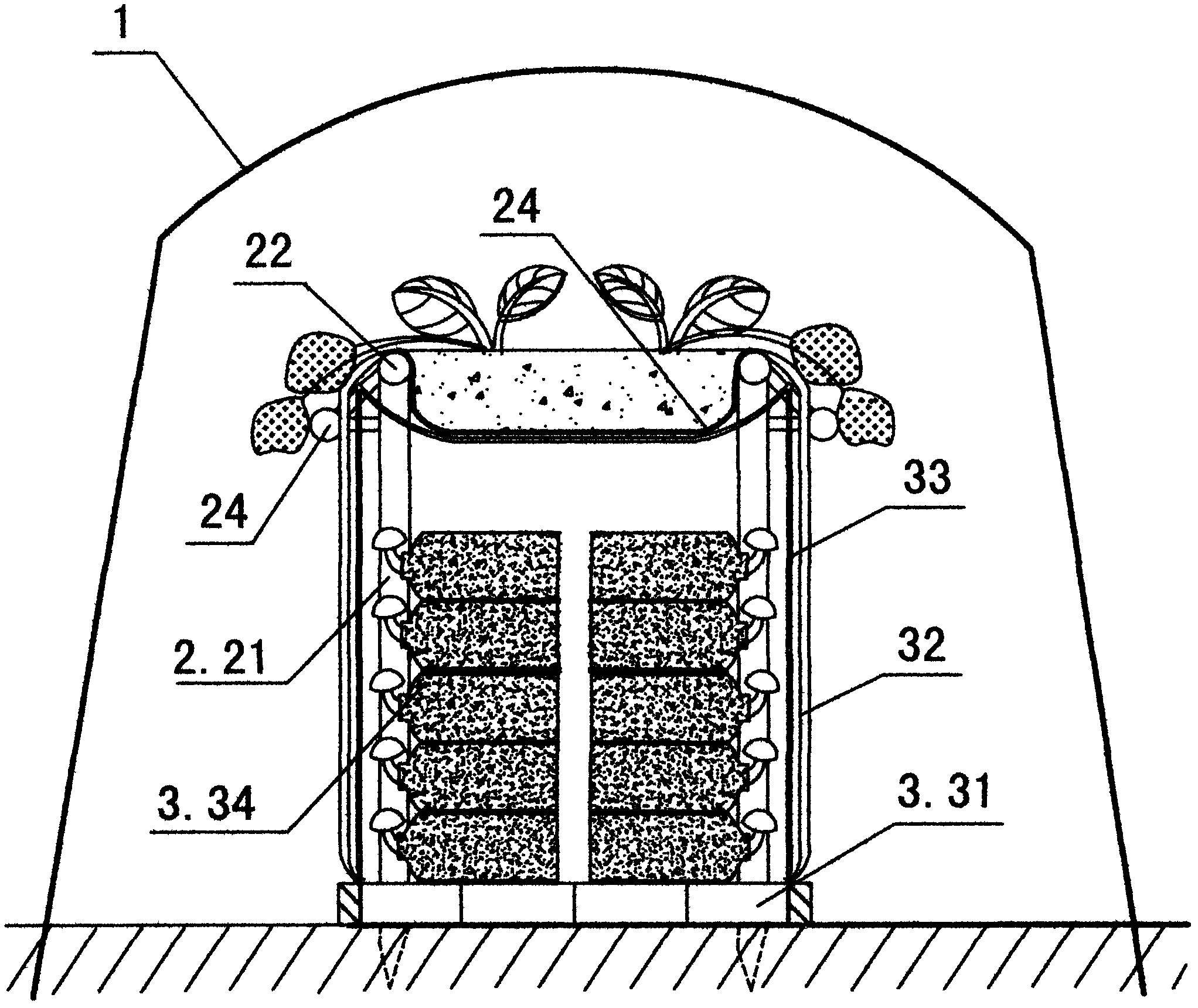 Dedicated device and method for composite cultivation of strawberries and edible mushrooms