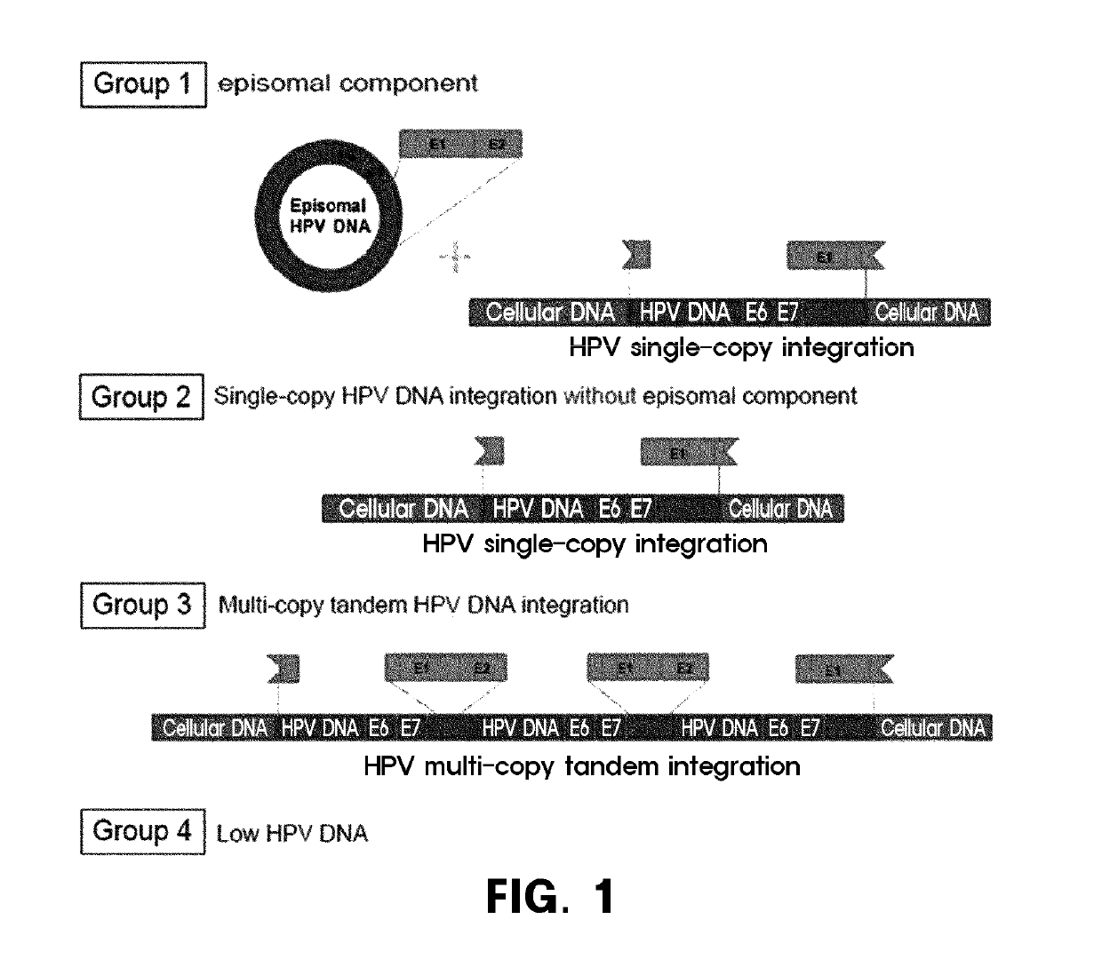 Method for prediction of prognosis by human papillomavirus DNA integration pattern