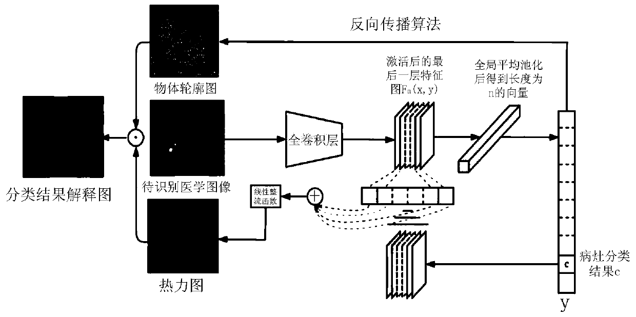 Medical image processing method and medical image recognition method and device