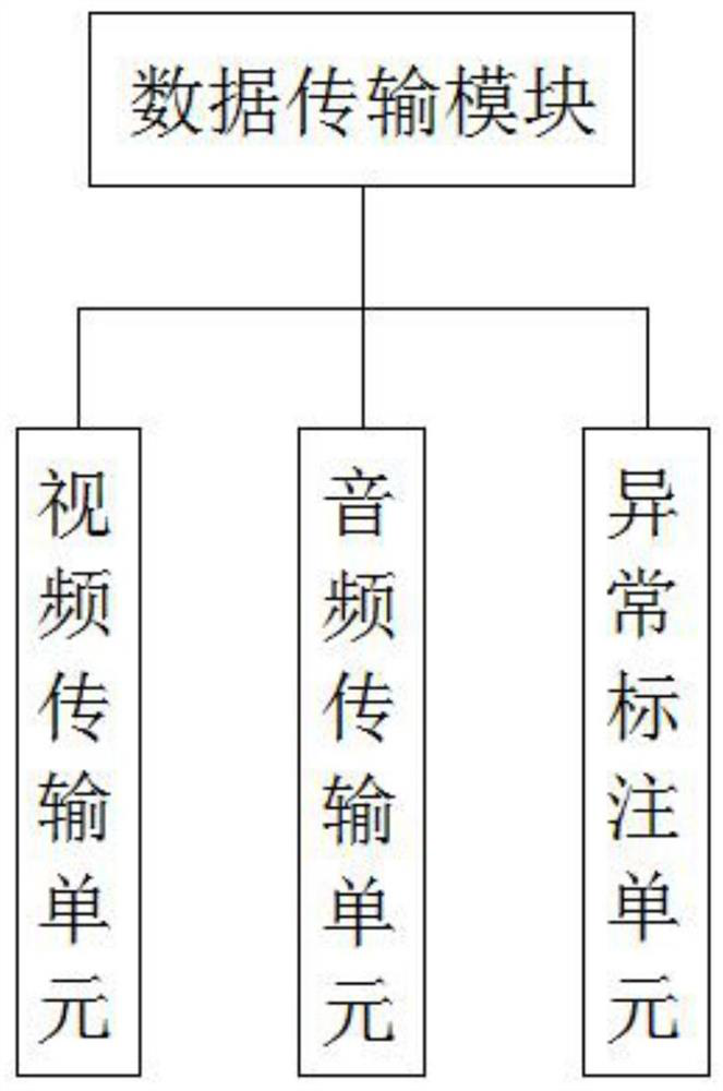 Remote video monitoring system