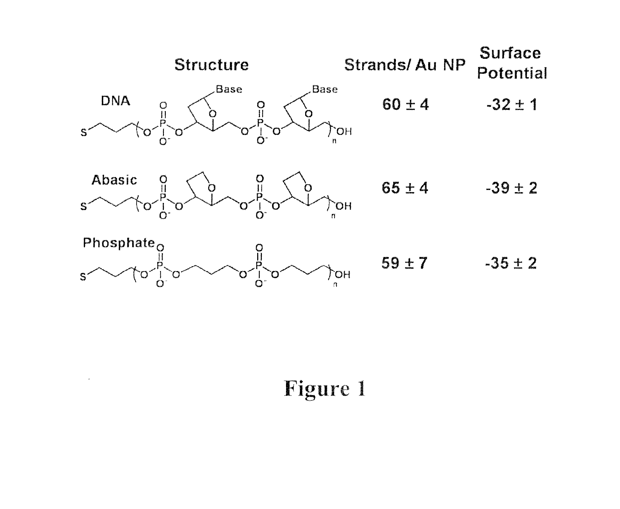 Oligonucleotide specific uptake of nanoconjugates