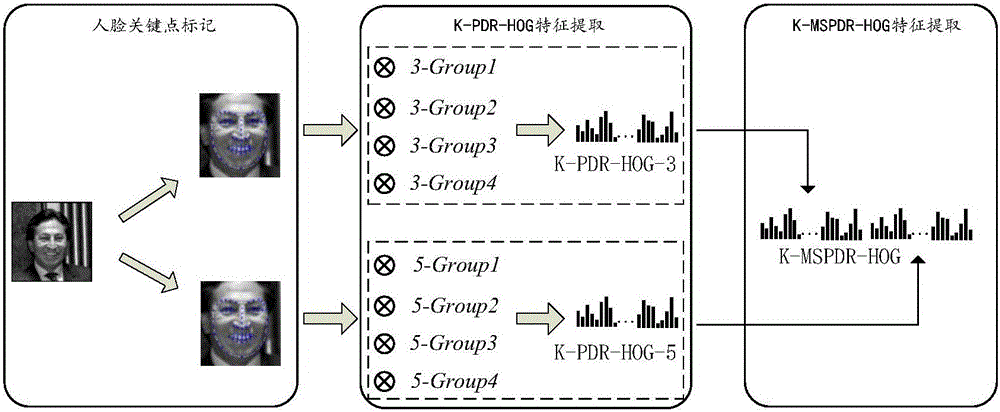 Non-restraint face identification method based on HOG characteristic sparse representation
