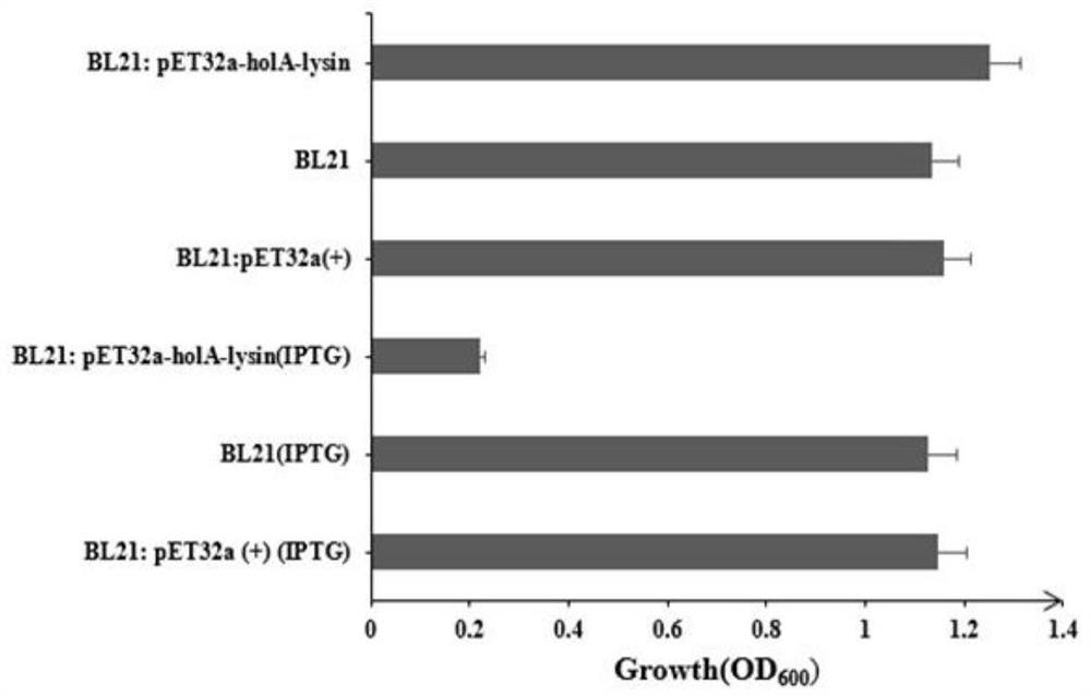 Lyase from vibrio alginolyticus bacteriophage and application thereof