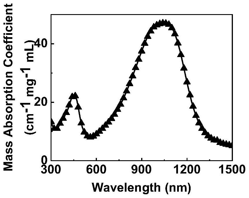 Semiconductor polymer for treating hypoxic tumors, preparation method and application