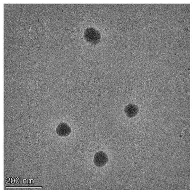 Semiconductor polymer for treating hypoxic tumors, preparation method and application