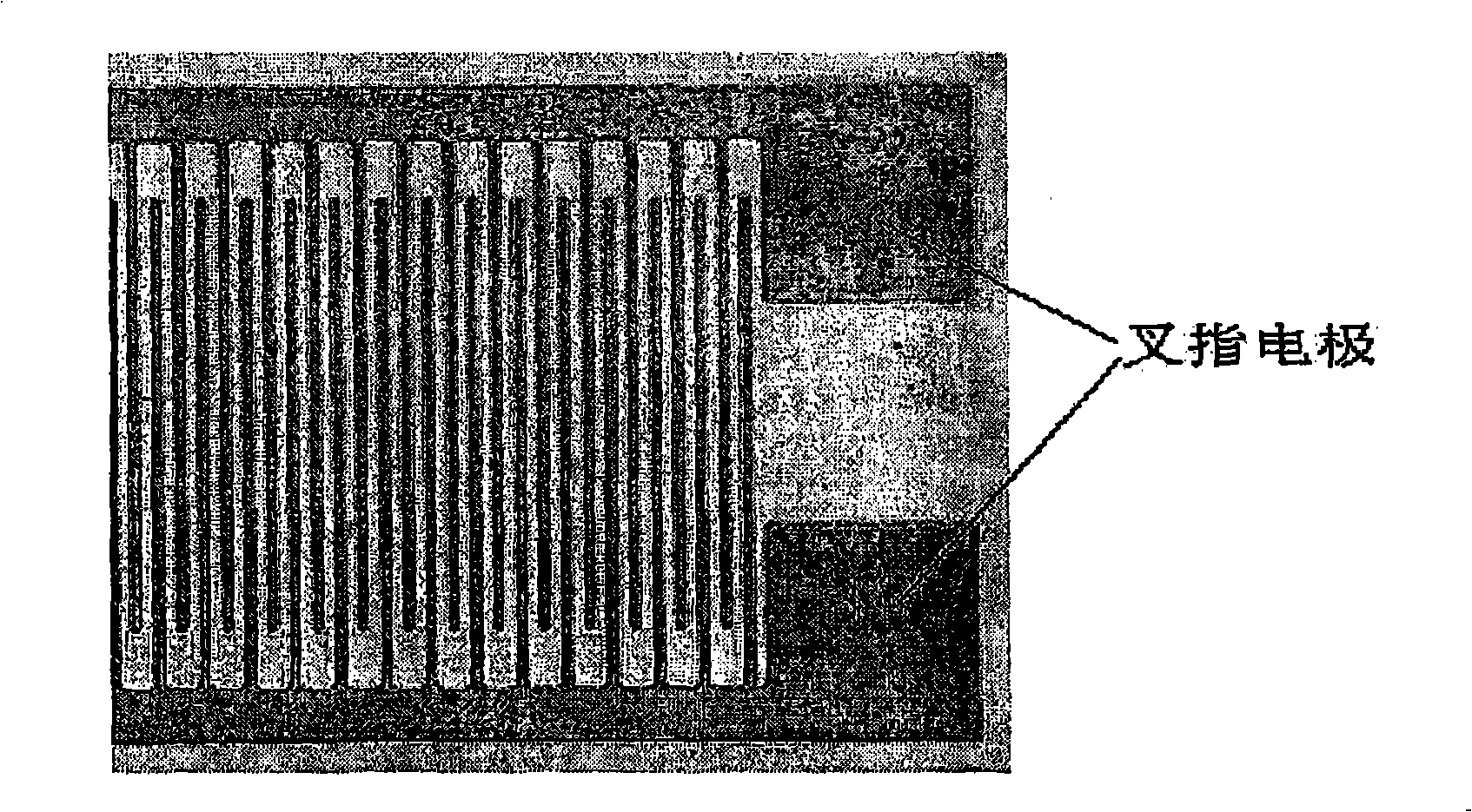 Ultraviolet detector