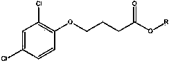 Herbicidal composition containing 2,4-dichlorophenoxybutyric acid and derivative