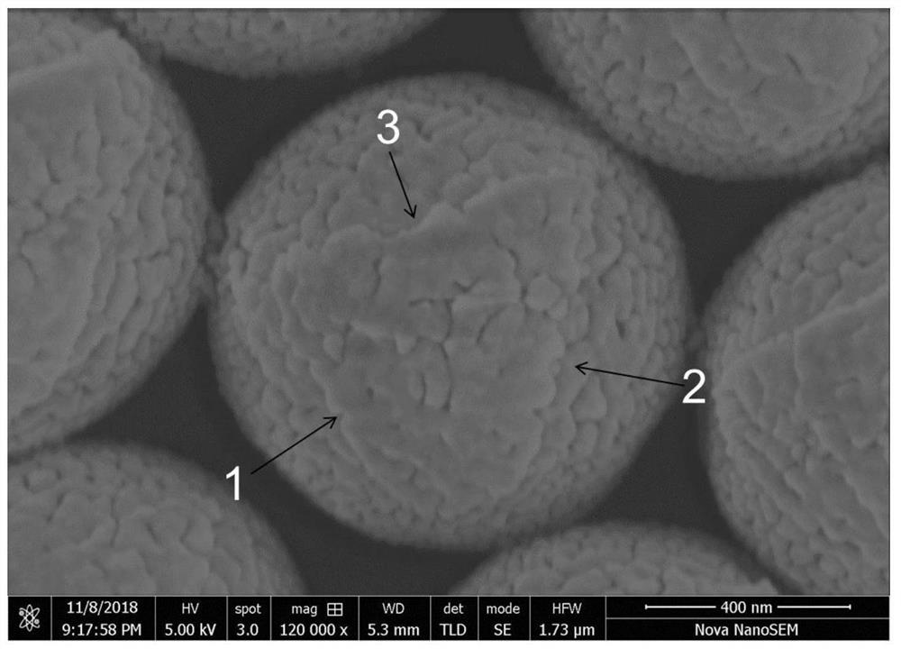 A kind of preparation method of chiral metal micro-nano helical structure