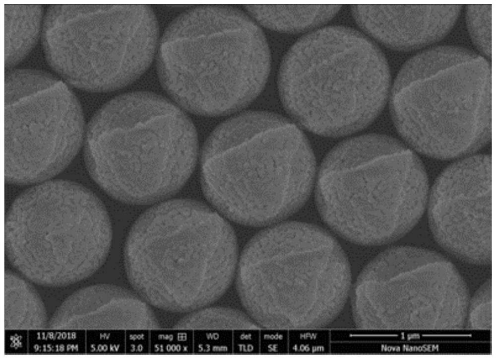 A kind of preparation method of chiral metal micro-nano helical structure