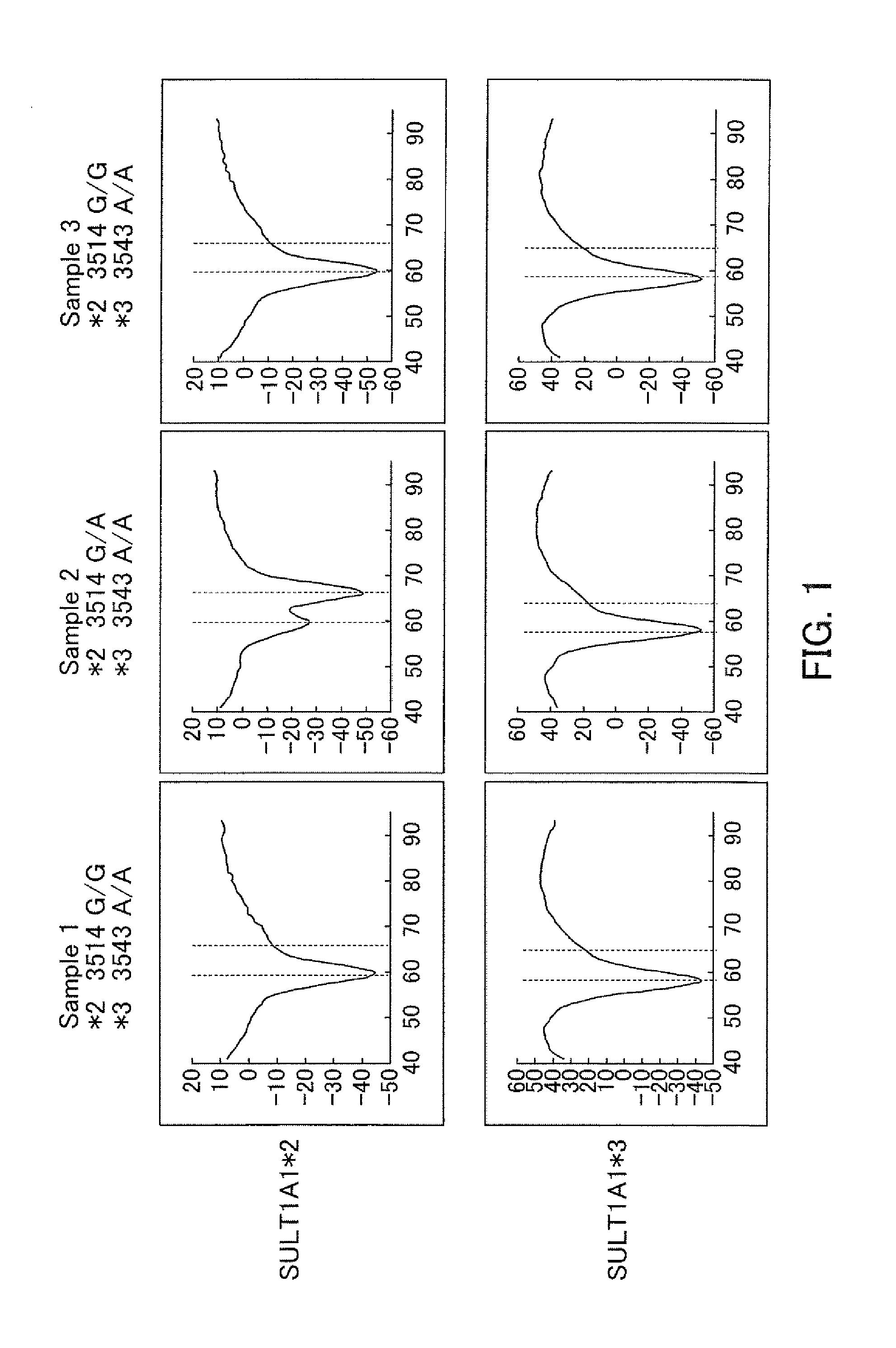 Probes for Detection of SULT1A1 Gene, Reagent Containing the Same, and the Uses Thereof