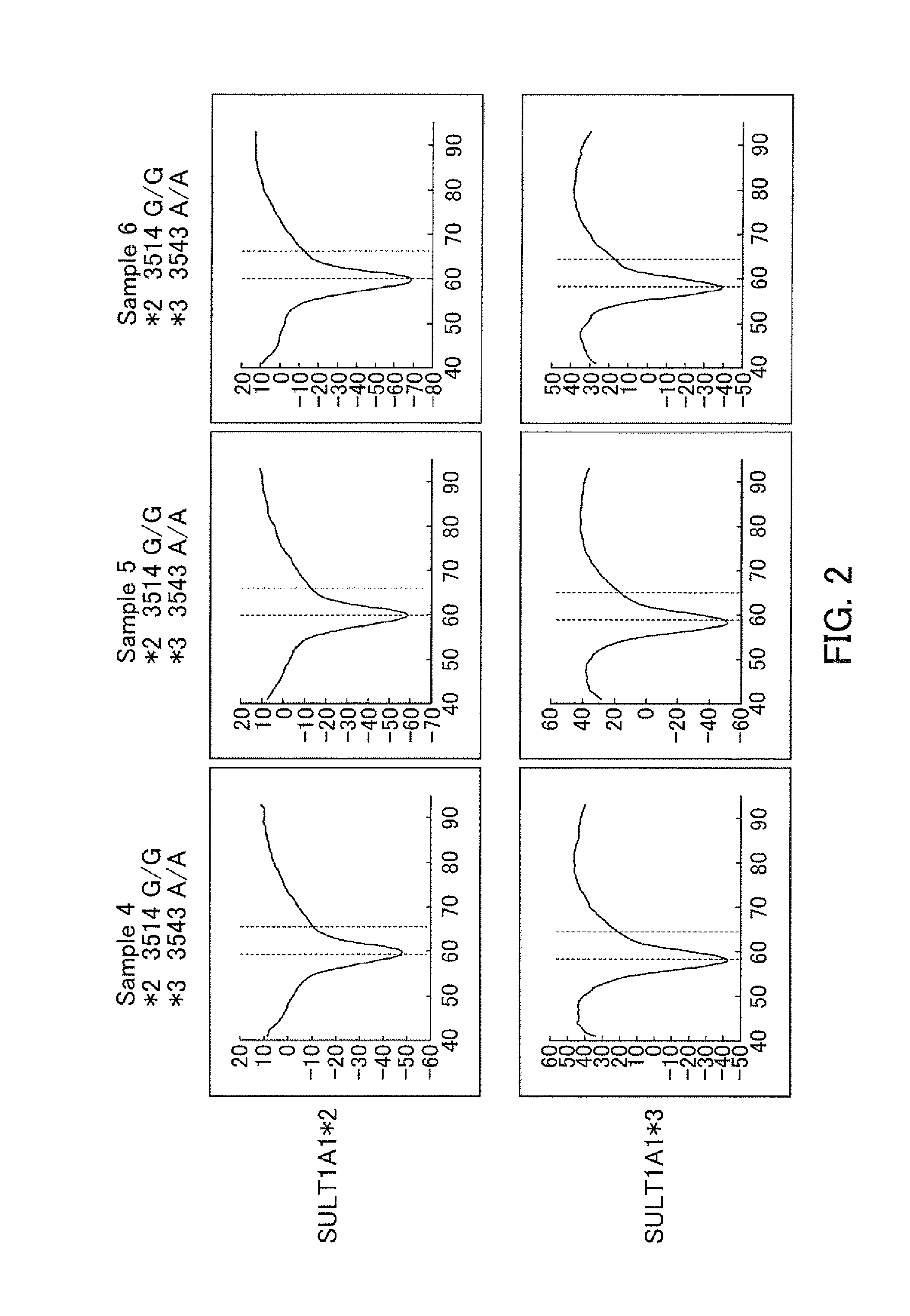 Probes for Detection of SULT1A1 Gene, Reagent Containing the Same, and the Uses Thereof