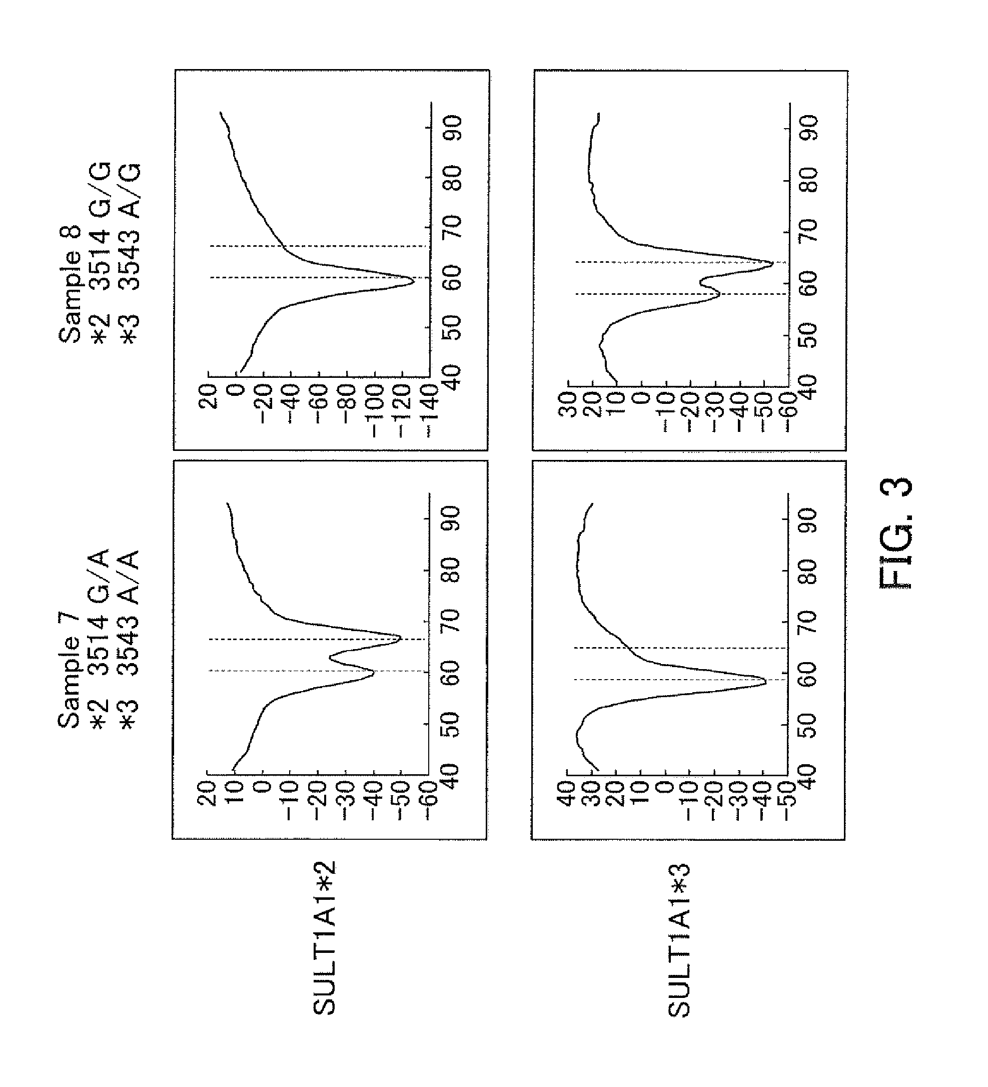 Probes for Detection of SULT1A1 Gene, Reagent Containing the Same, and the Uses Thereof