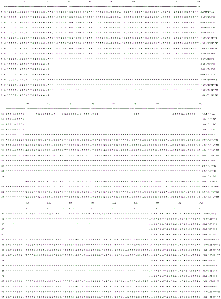 Genetic engineering marked attenuated vaccine strain of porcine reproductive and respiratory syndrome virus and application thereof