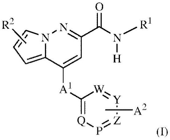 Pyrrolo-pyridazine derivatives as muscarinic m1 receptor positive allosteric modulators