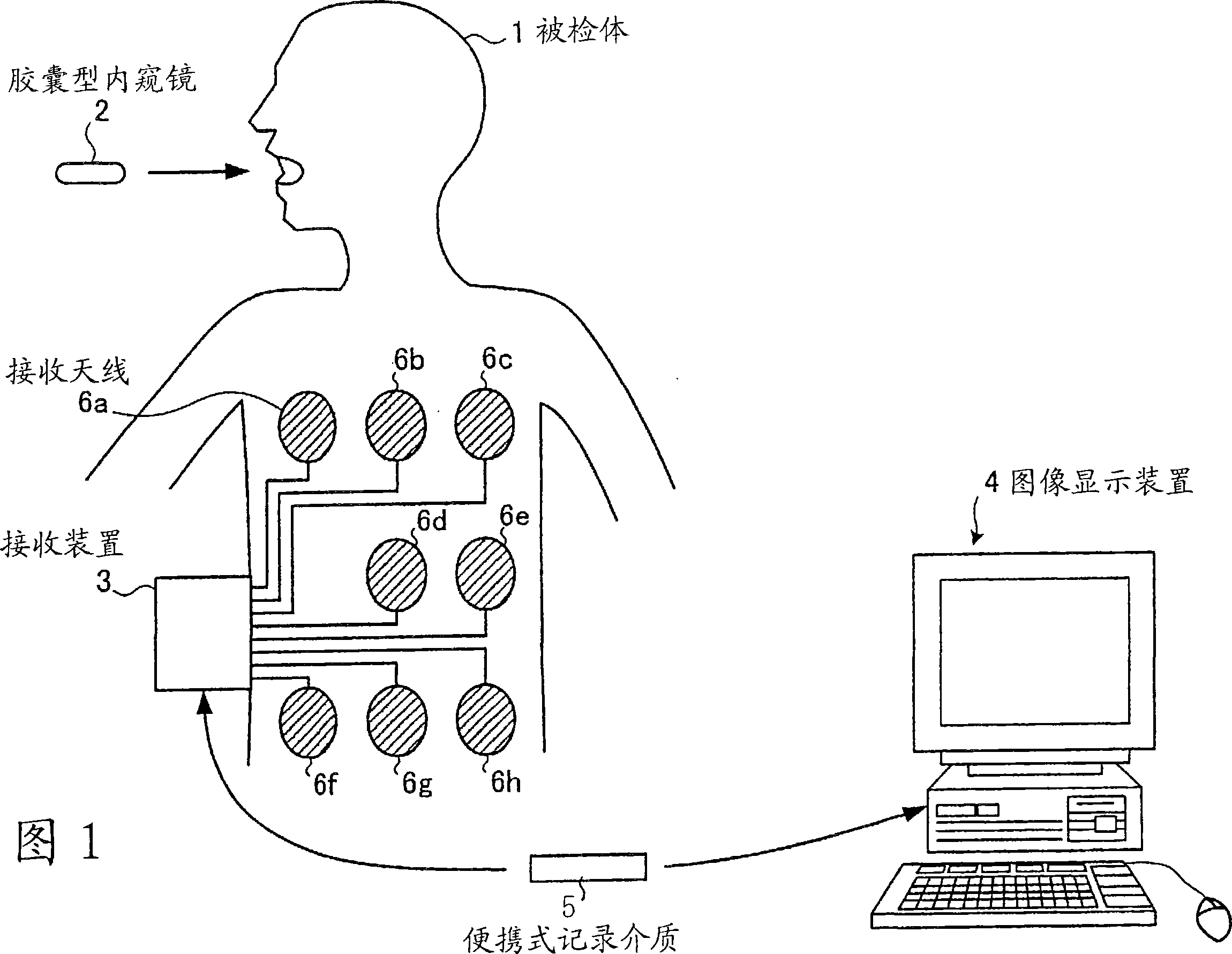 Image display device, image display method and image display program