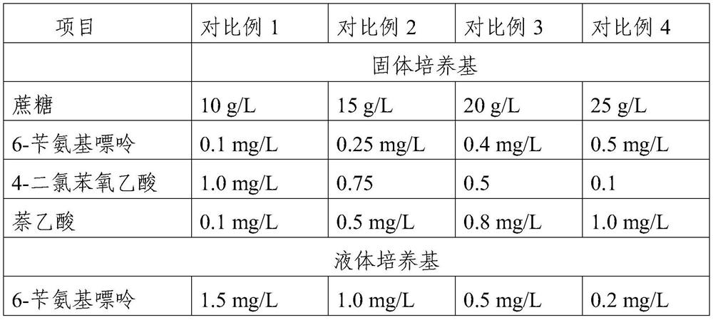 Preparation method and application of mulberry stem cells