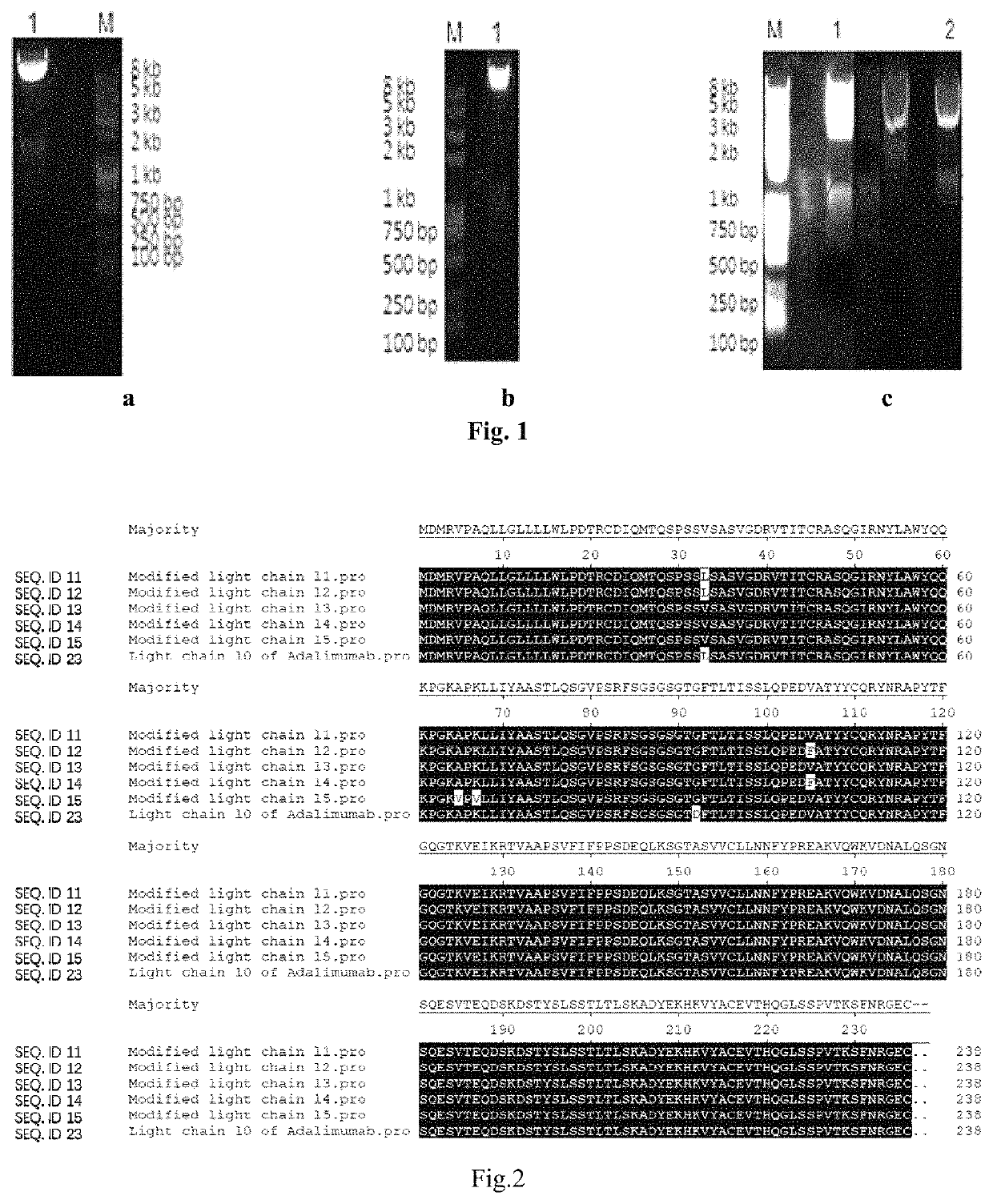 Anti-TNF-α fully human monoclonal antibodies with low immunogenicity and application thereof