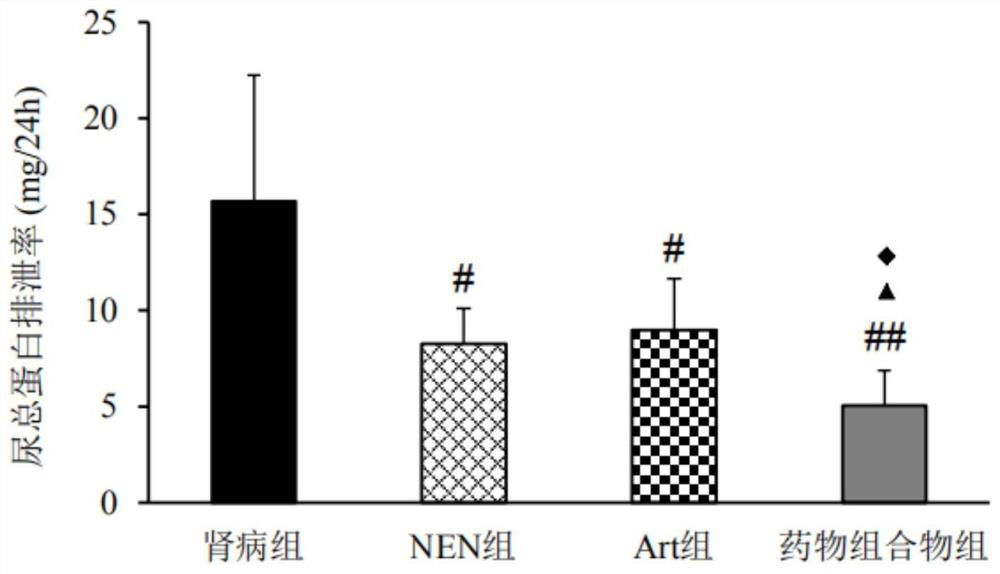 Application of pharmaceutical composition in preparation of medicines for preventing or treating kidney diseases