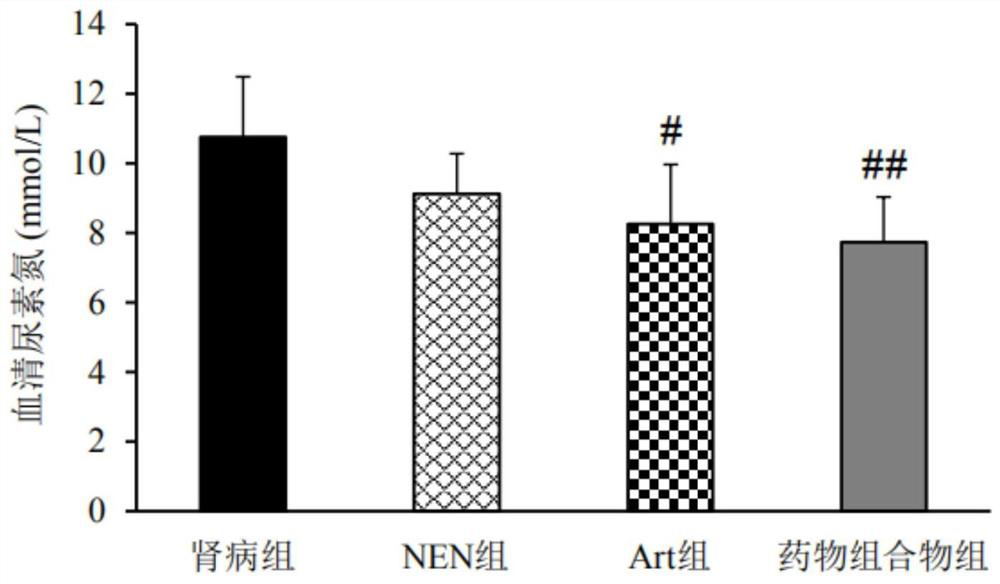 Application of pharmaceutical composition in preparation of medicines for preventing or treating kidney diseases