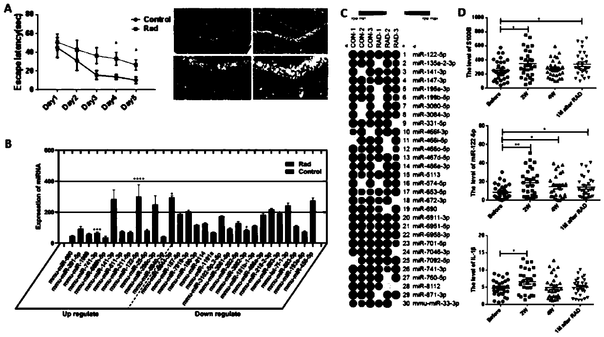 Application of miR-122 and inhibitor thereof to prevention/treatment of radiation-induced brain injury