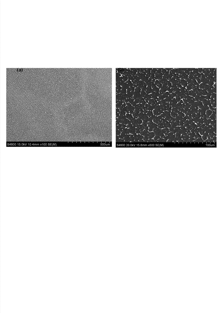 Quasicrystal-strengthened Mg-6Zn-3Y alloy with ultrafine solidification texture and preparation method thereof
