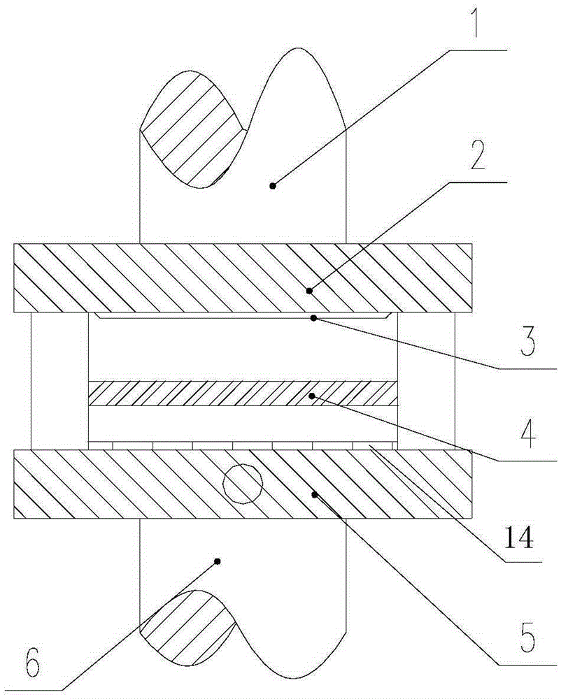 A fine-blanking device for medium and high carbon steel based on ultrasonic waves