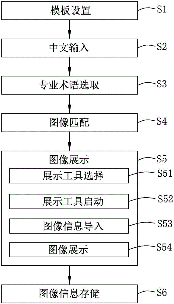 Professional terminology physical image display system and method