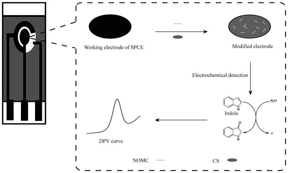 An Indole Electrochemical Sensor Based on Nitrogen-doped Ordered Mesoporous Carbon Modified Electrode and Its Application