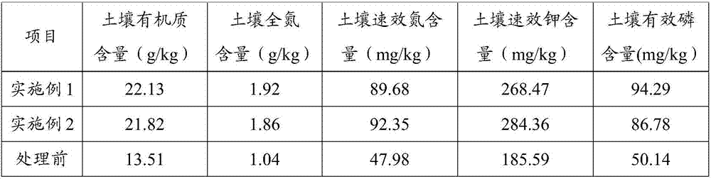 Green cultivation method of tomatoes, and plant residue recycling method