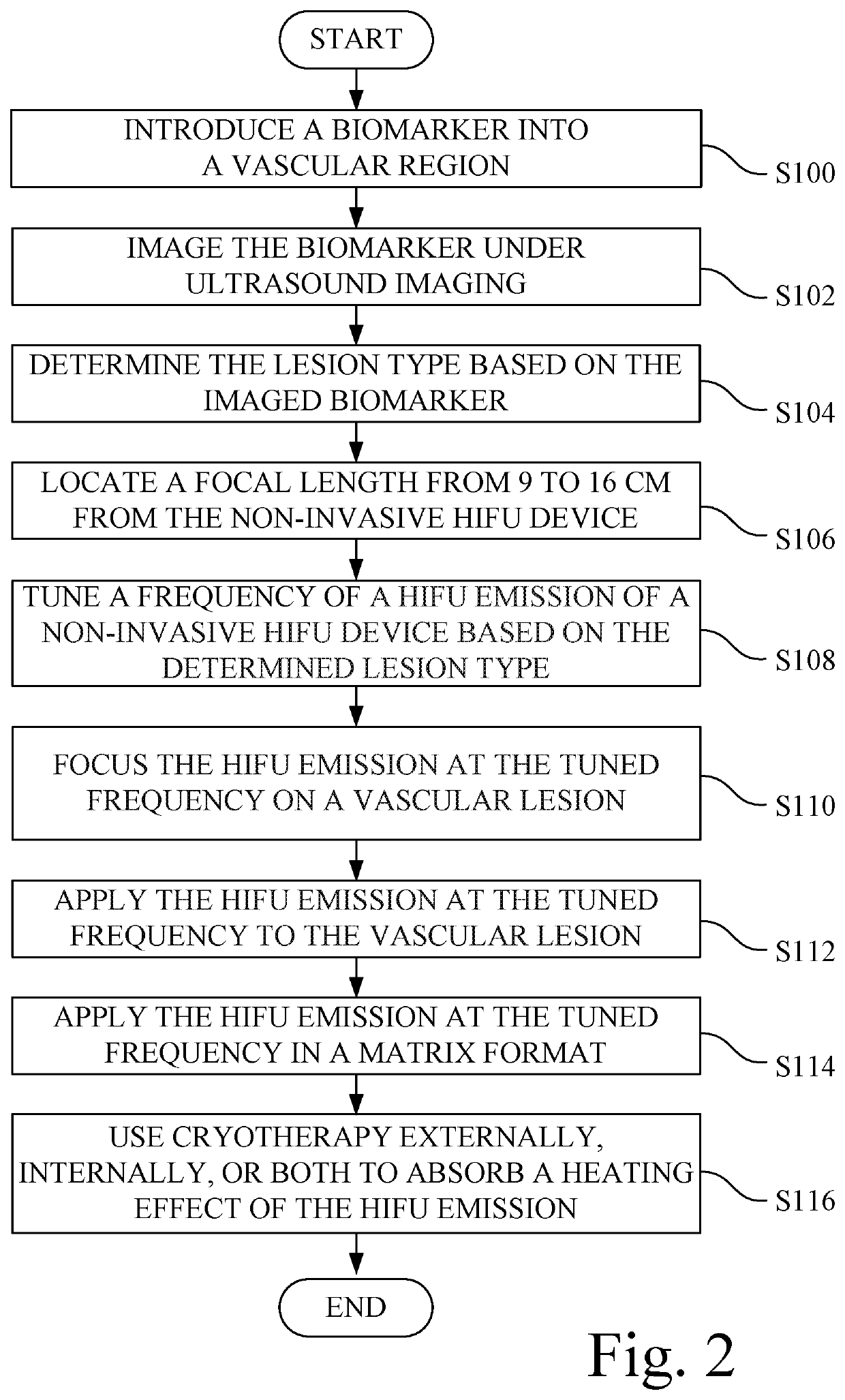 Method for treatment of a vascular lesion