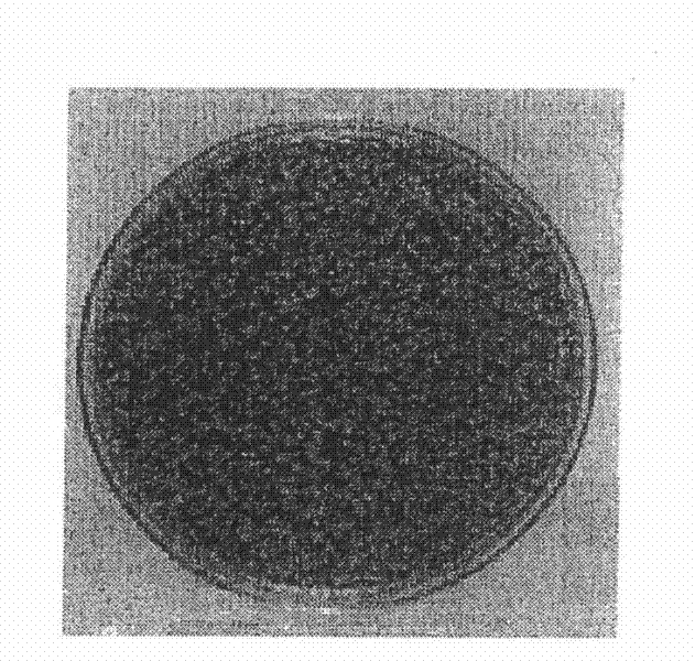 Artificial pearl paint containing photocatalyst and method of preparing the paint and a method of painting