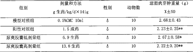 Medicament for treating gynaecologic urinary system infection contamination and preparation method thereof