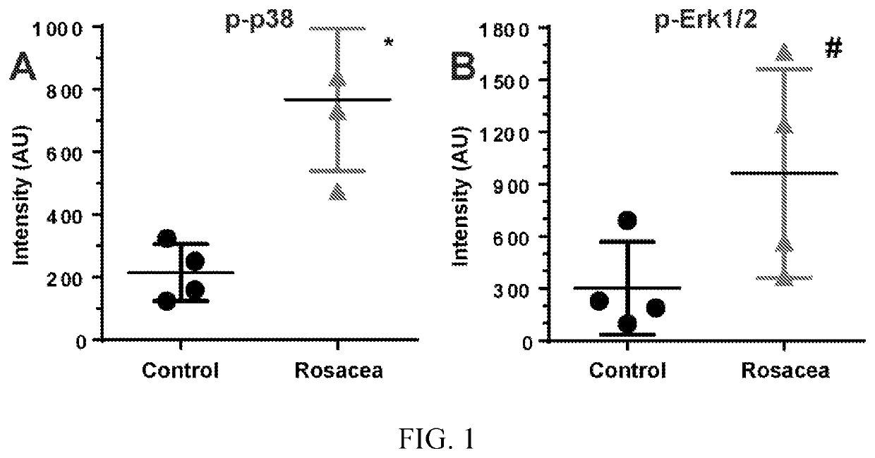 Treatment of rosacea with P38 and Erk kinase pathway inhibitors