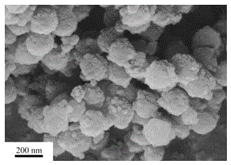 Method for preparing biological activity glass microspheres by macroporous carbon template