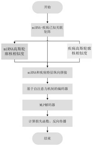 MiRNA-disease association prediction method based on attention mechanism