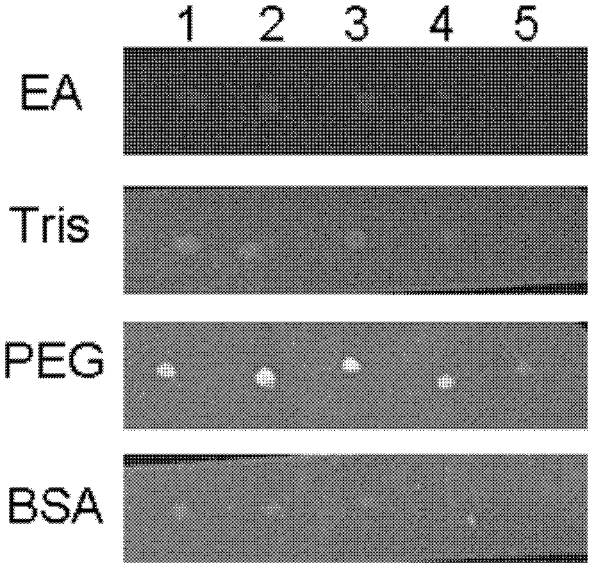 Method for utilizing covalence coupling to prepare photon point-antibody compound