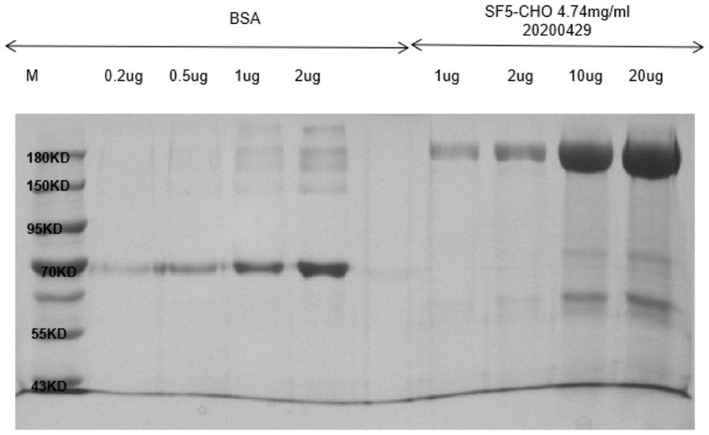 Neutralization activity monoclonal antibody of humanized anti-novel coronavirus (SARS-CoV-2)