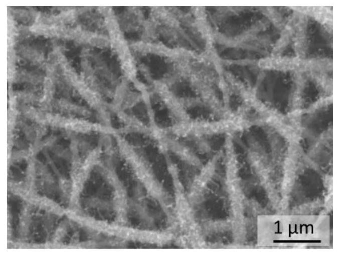 Preparation method and application of a carbon-based metal-organic framework MOF compound derivative material