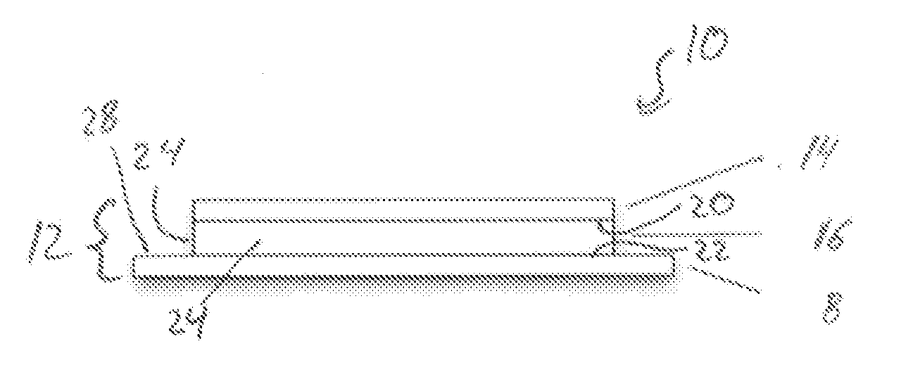 Patch comprising an onion extract