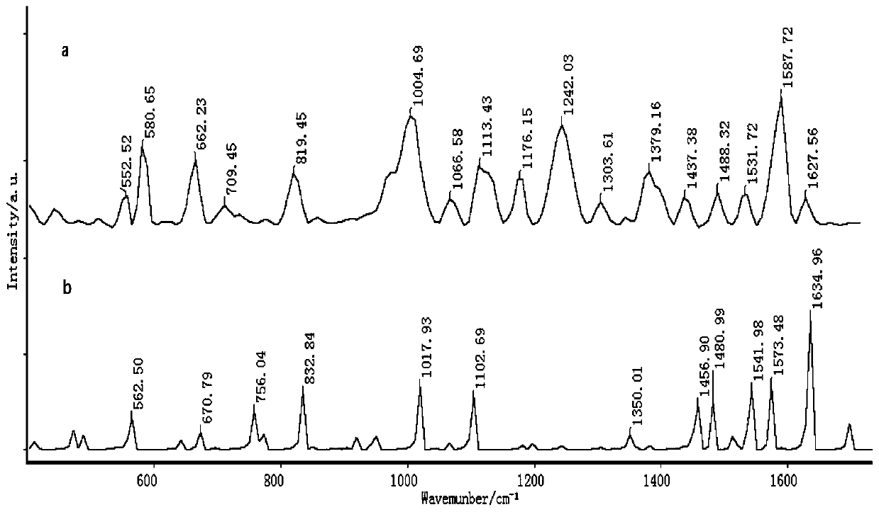 Rapid detection method of sulfadimidine