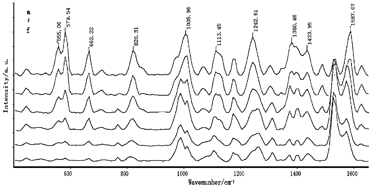 Rapid detection method of sulfadimidine