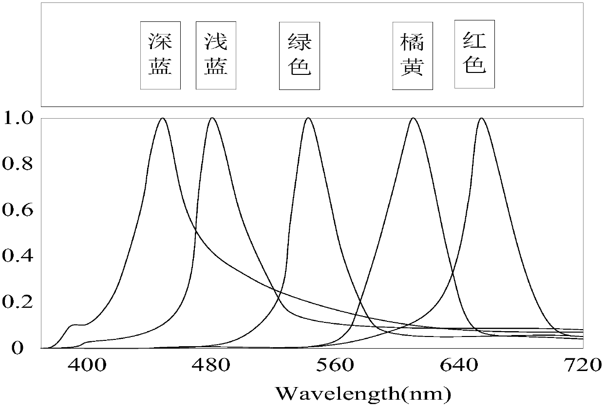 A kind of X-ray detection panel and its preparation method