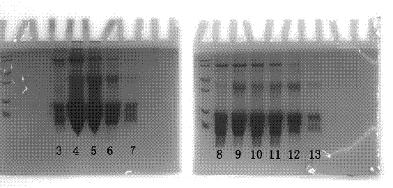 Method for separating beta-lactoglobulin from desalted whey powder