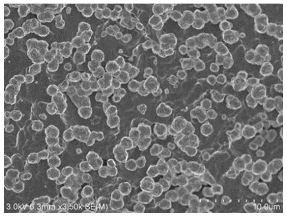 Titanium substrate with in-situ growth of metal nanoparticles on the surface and its application