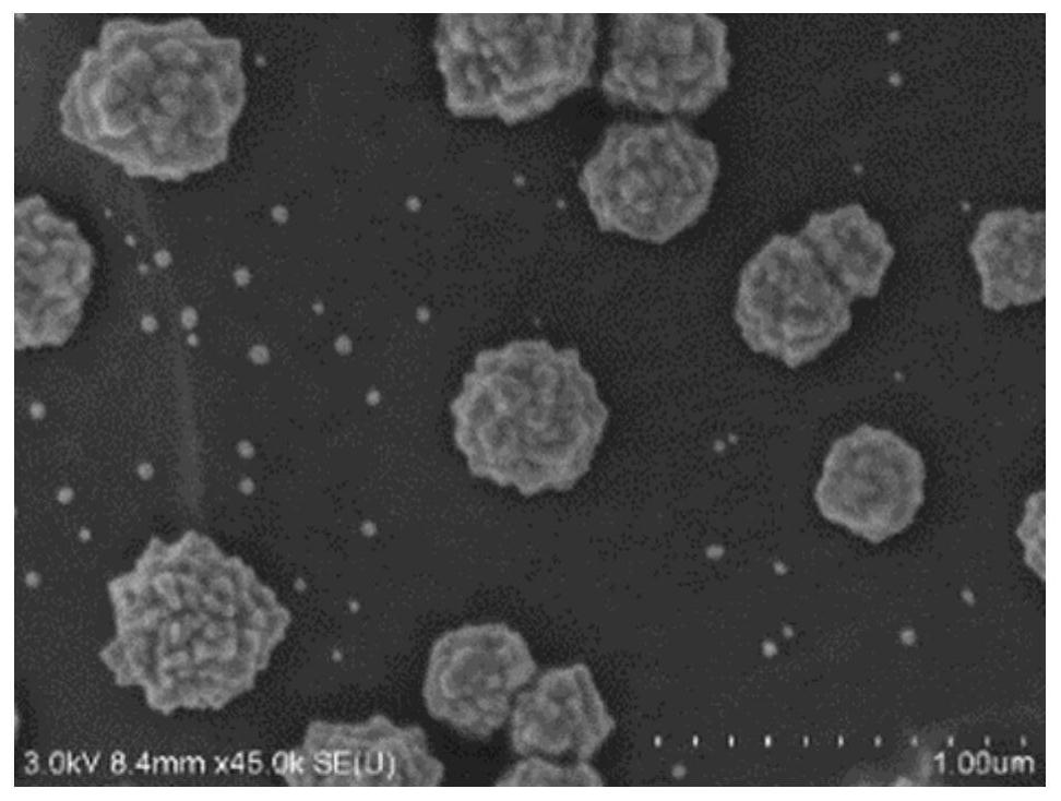 Titanium substrate with in-situ growth of metal nanoparticles on the surface and its application
