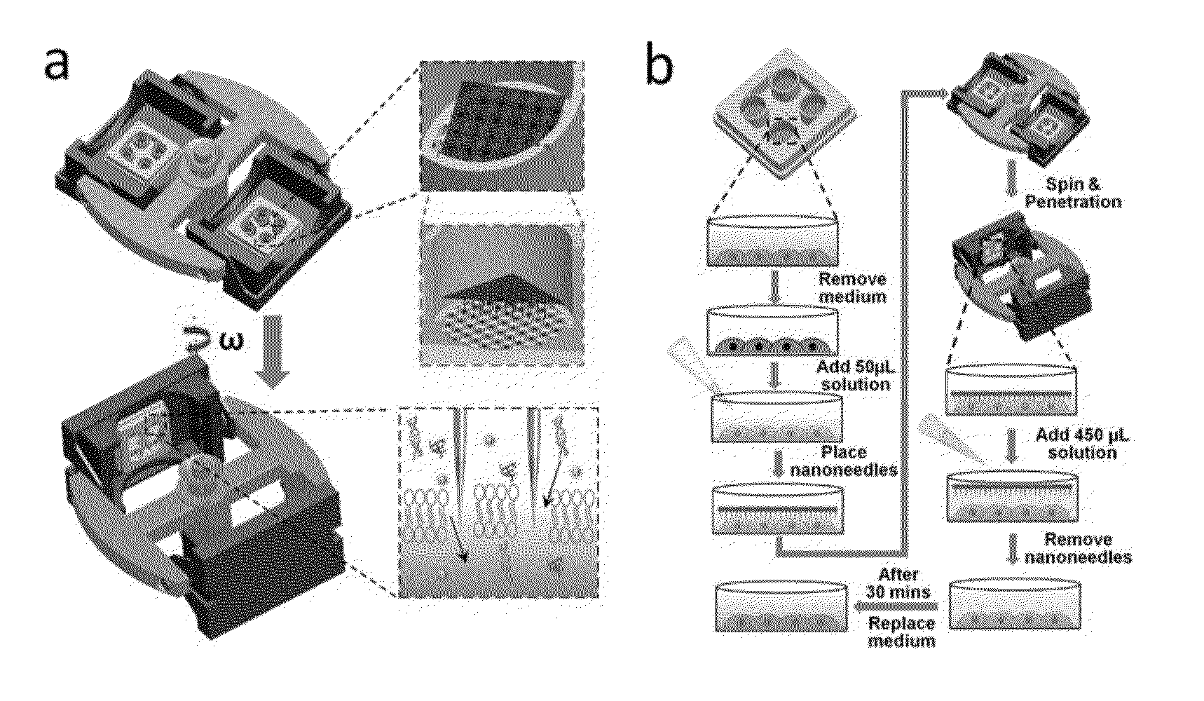 Method and apparatus for delivery of molecules to cells