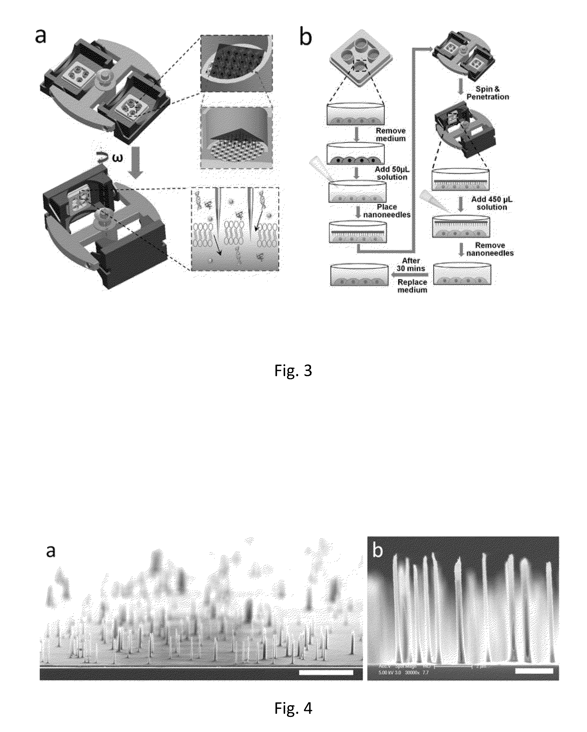 Method and apparatus for delivery of molecules to cells