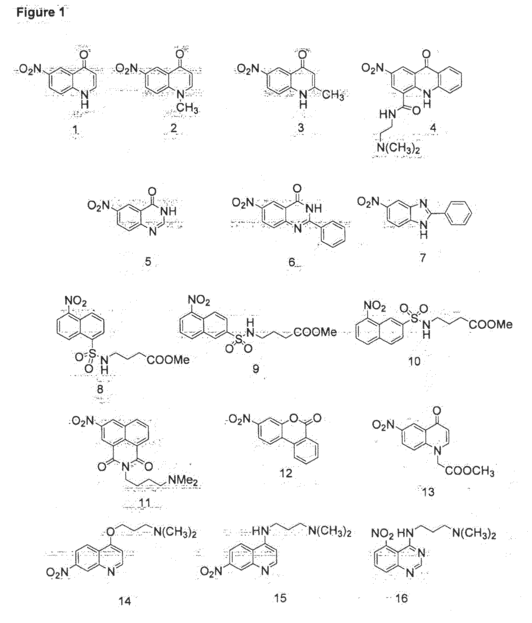 Method for the Fluorescent Detection of Nitroreductase Activity Using Nitro-Substituted Aromatic Compounds