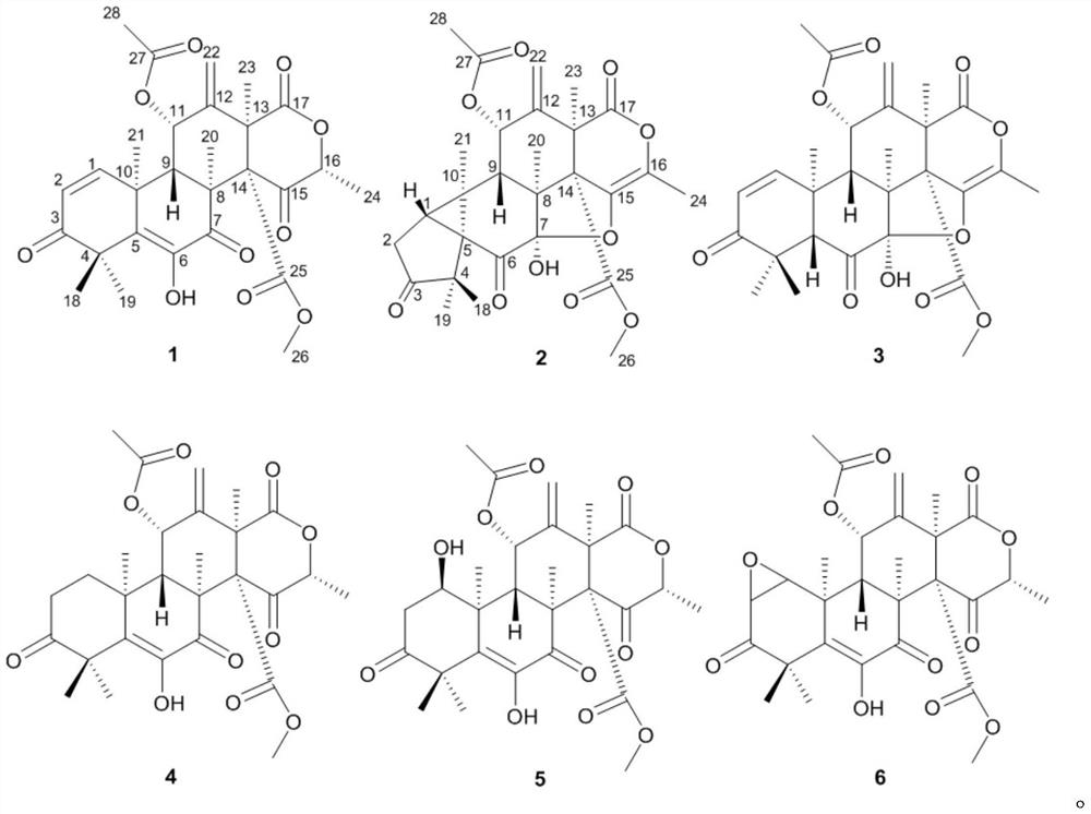 A marine fungus, a novel skeleton heteroterpene derivative prepared therefrom, and its preparation method and application